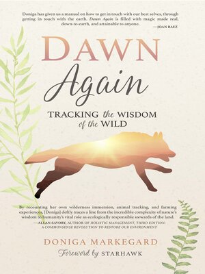 cover image of Dawn Again